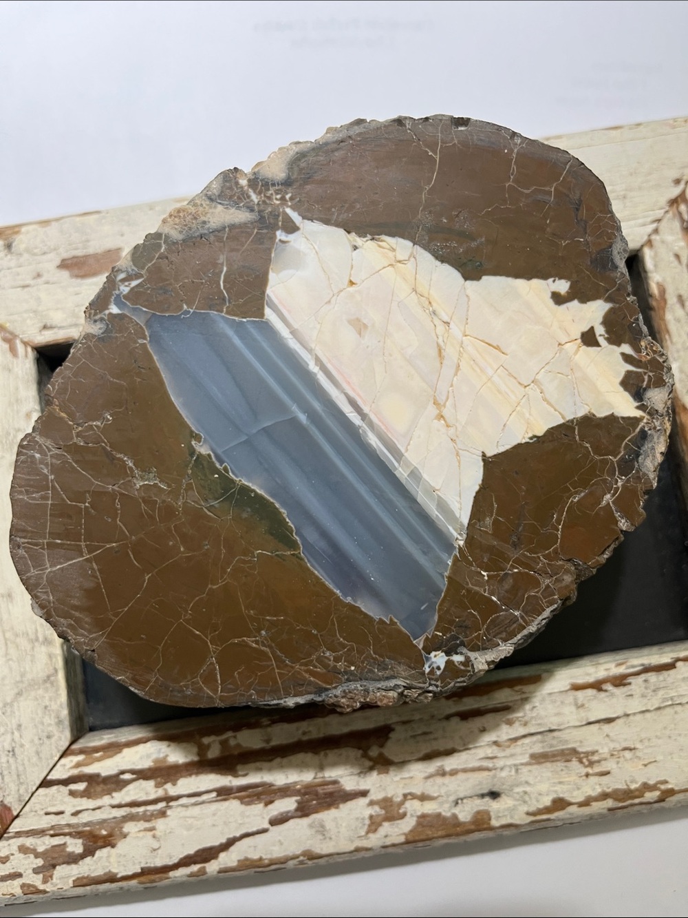 Oregon Owyhee Thunderegg Rock